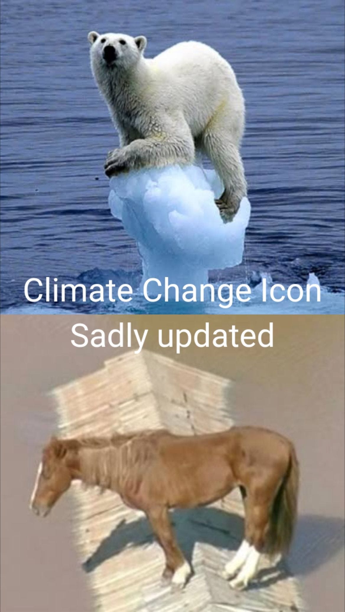 Não foi fornecido texto alternativo para esta imagem