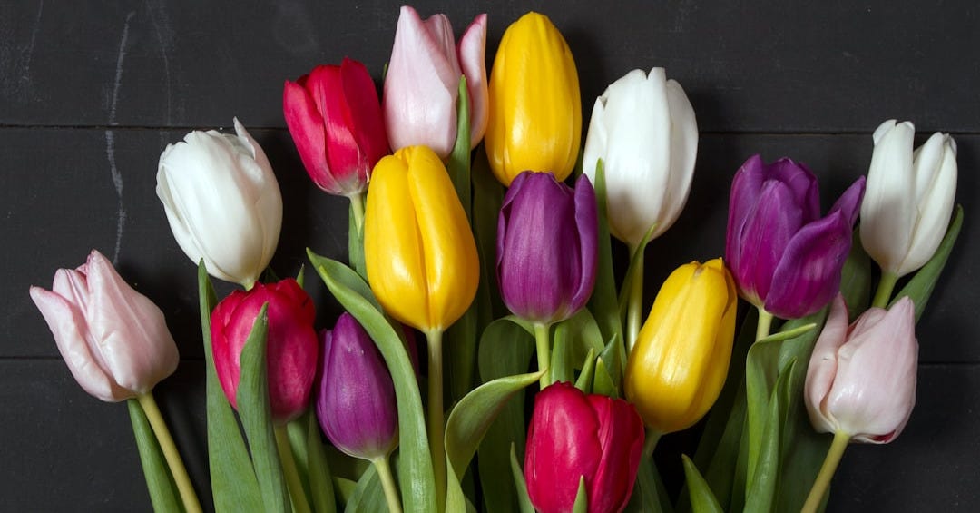 a bunch of colorful tulips in a vase
