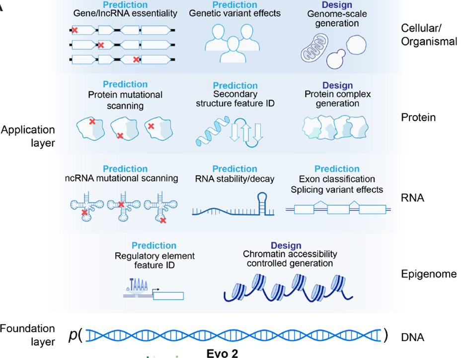 AI Research Review 25.02.21 – AI for Science