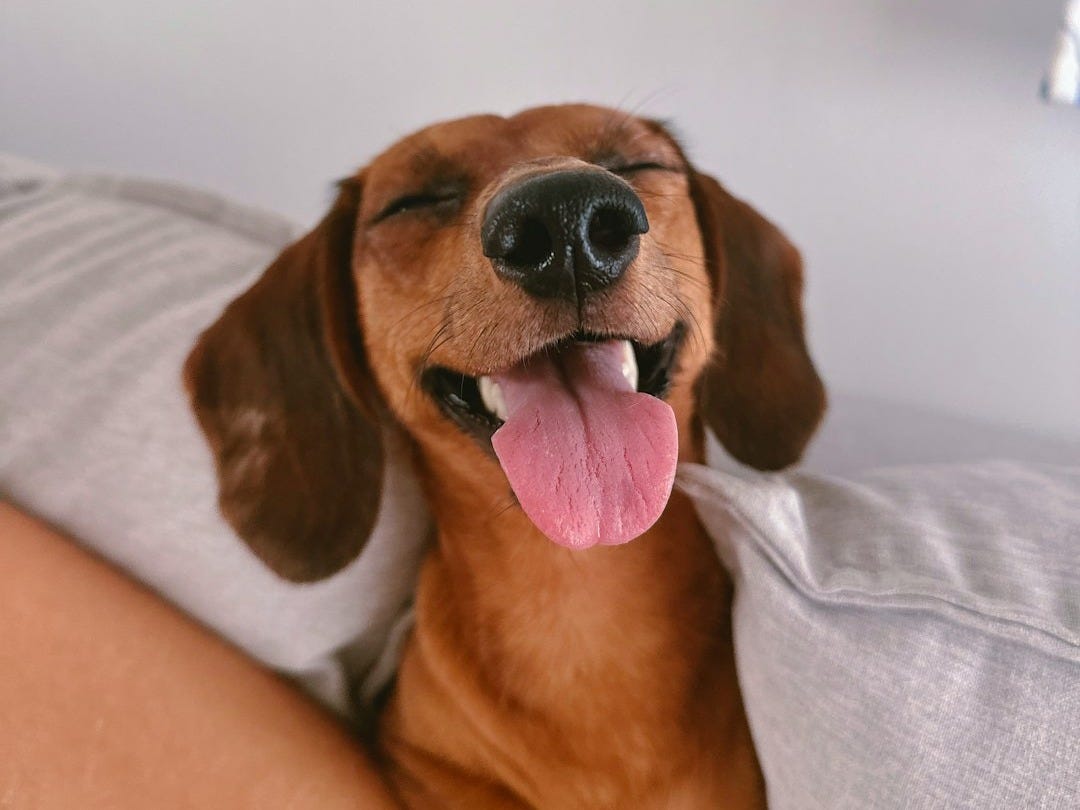 Les 7 Bonnes Nouvelles du Vendredi 19 Décembre 2025