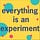 everything is an experiment