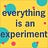 everything is an experiment