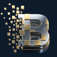 Bits and Borders logo