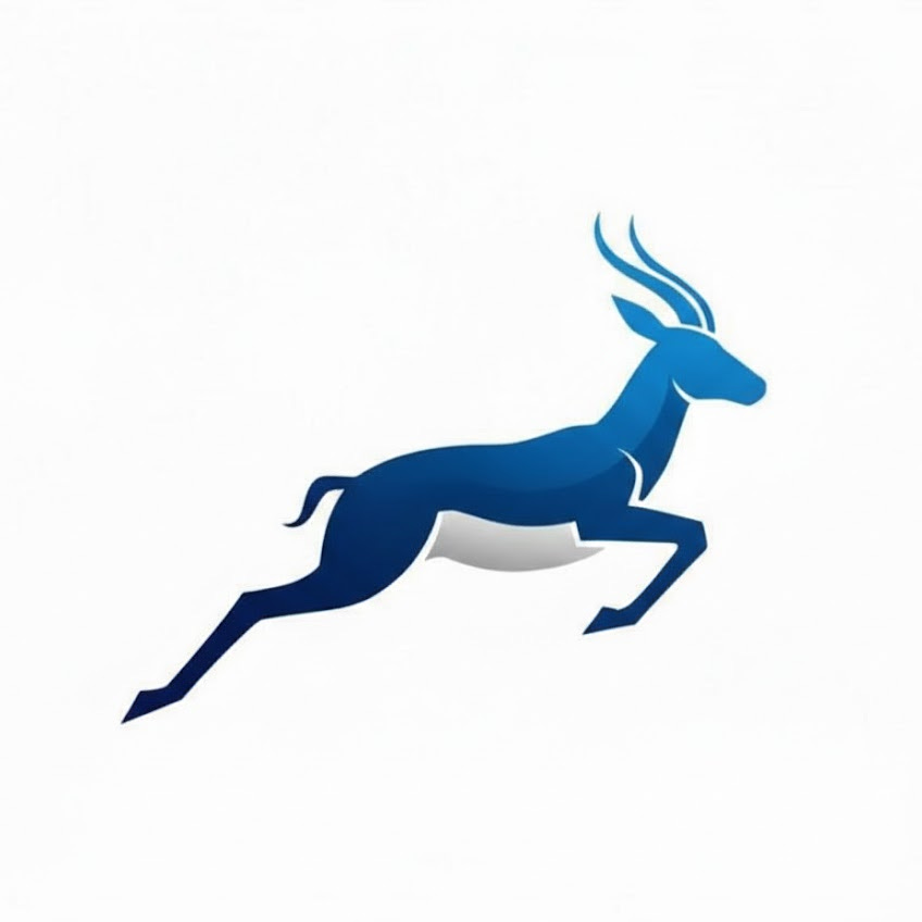 Springbok Finance
