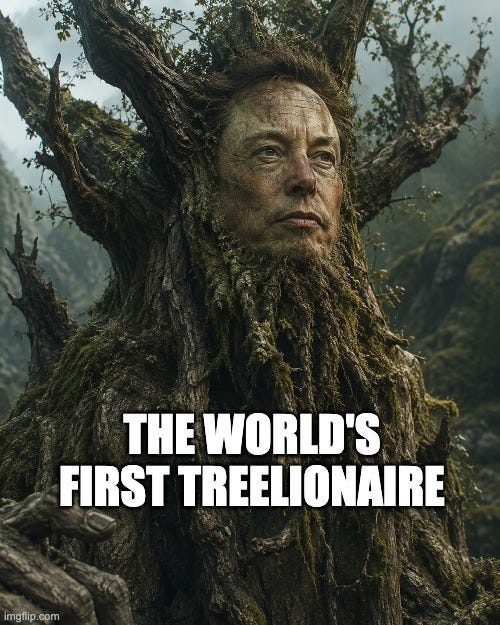 An illustration of a gnarled tree with Elon Musk's face in its bark, captioned "The world's first treelionaire."