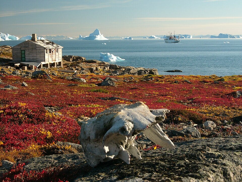 File:Greenland scoresby-sydkapp2 hg.jpg File:Greenland scoresby-sydkapp2 hg.jpg