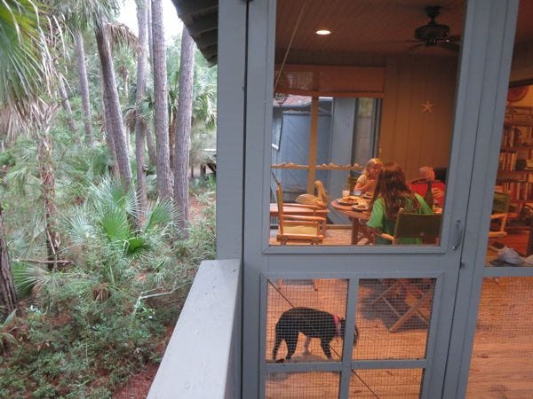 porch dinner