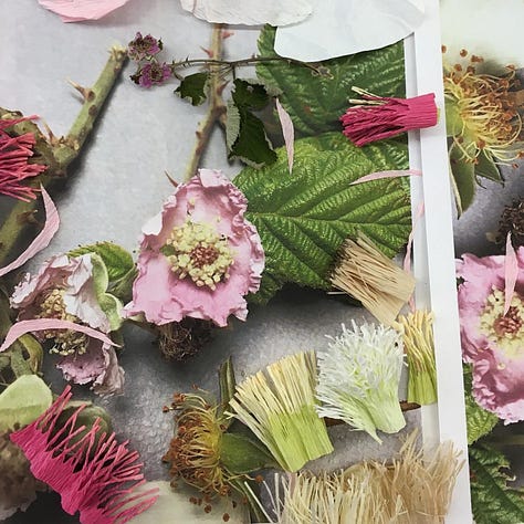 Image one: a study of brambles and paper experiments of different fringes to build the complex centre. Image two shows an enlarged bramble stem I created in 2020 and Image three shows the bramble stem from this week, closer to life size, showing how my work has developed.