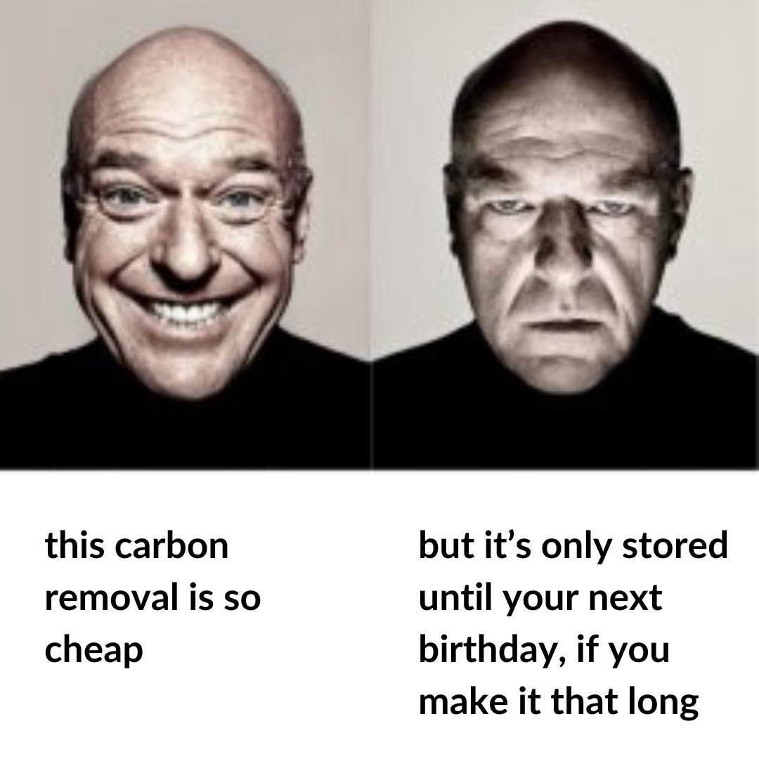 Two portraits of the same bald man, grinning then grim. Text: "this carbon removal is so cheap" / "but it's only stored until your next birthday, if you make it that long".