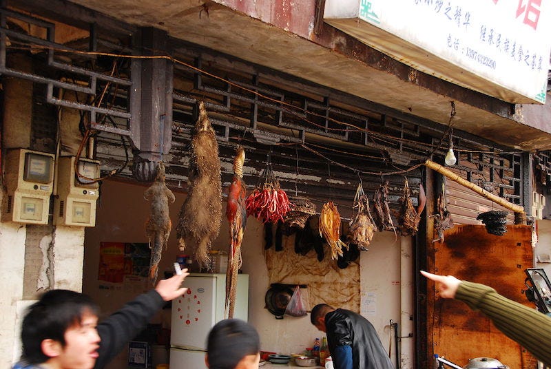 Bats, such as those sold in this Chinese market, are a possible source of the COVID-19 outbreak. (Simon Law / CC BY-SA (https://creativecommons.org/licenses/by-sa/2.0)) Bats, such as those sold in this Chinese market, are a possible source of the COVID-19 outbreak. (Simon Law / CC BY-SA (https://creativecommons.org/licenses/by-sa/2.0))