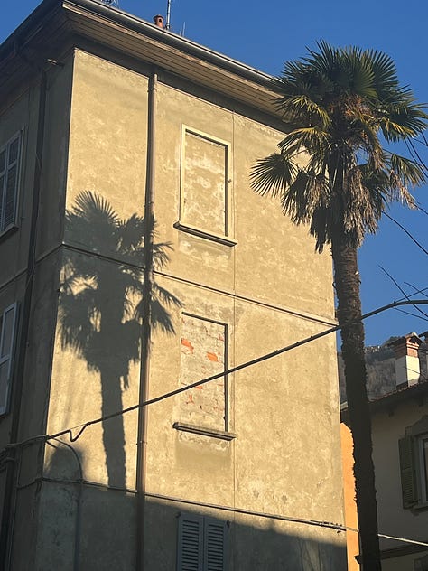 Top L-R: new elm and morning sun at Villa Olmo, sunbeam through west window, central Como blue sky, tarocco oranges in the wild, palm tree shadow show-off, mimosa flowers for women's day, tourist season starts with a shock and bang, more mimosa 🌼 more celebrating women, traghetto and sapphire waters