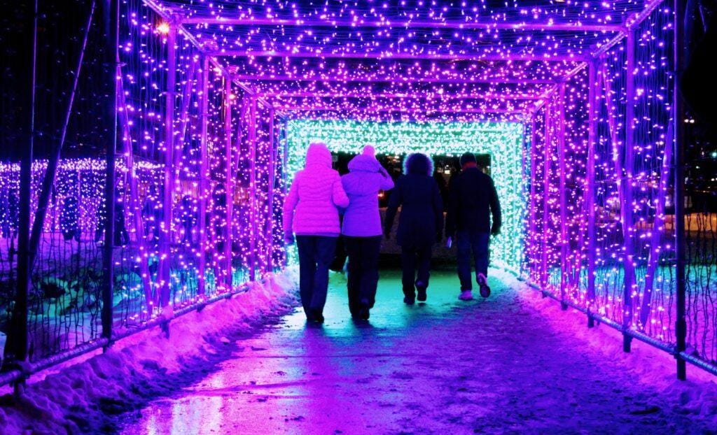 a group of people walking through a tunnel covered in purple lights a group of people walking through a tunnel covered in purple lights