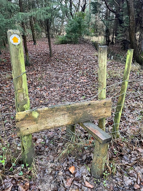 A clear brown path leading through think saplings; a stile with a yellow waymarker leading to a grassy patch of woodland; a narrow lane between orange leafed-trees on the left and neat hedging on the right