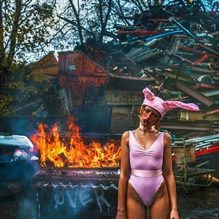 Dumpster Fire Shitshow