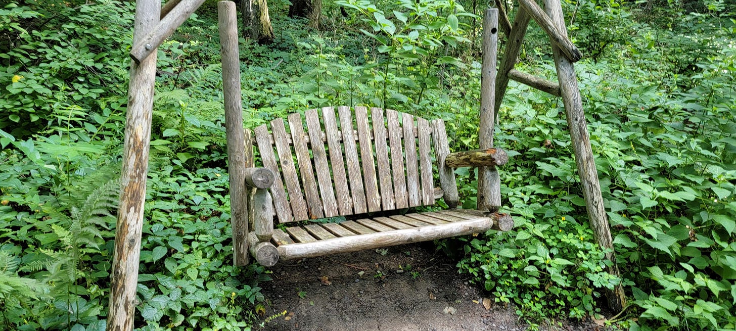 A rustic bench