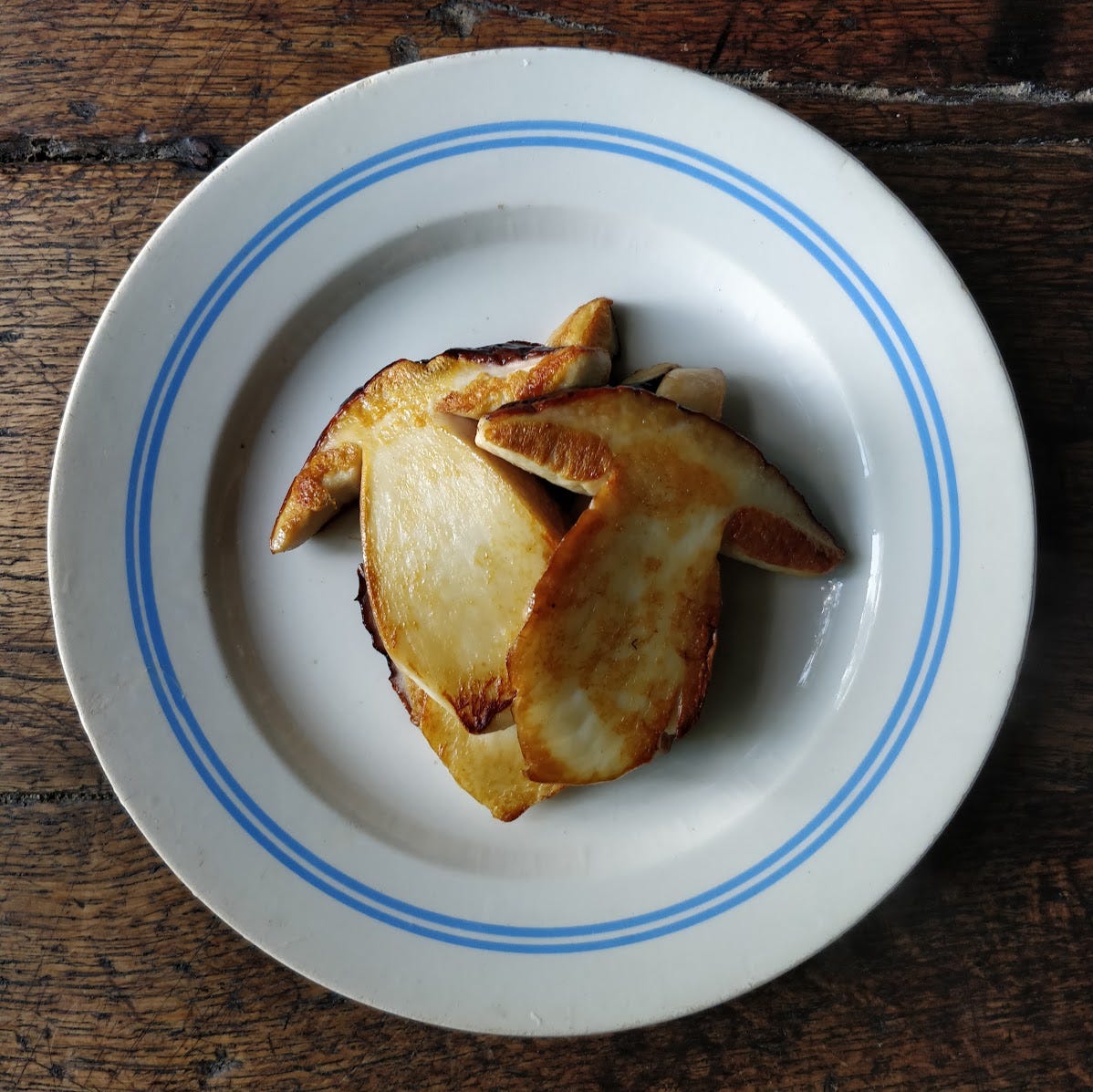 Boletus edulis, sliced and fried but otherwise unadorned, on a white plate with blue rings around the rim.