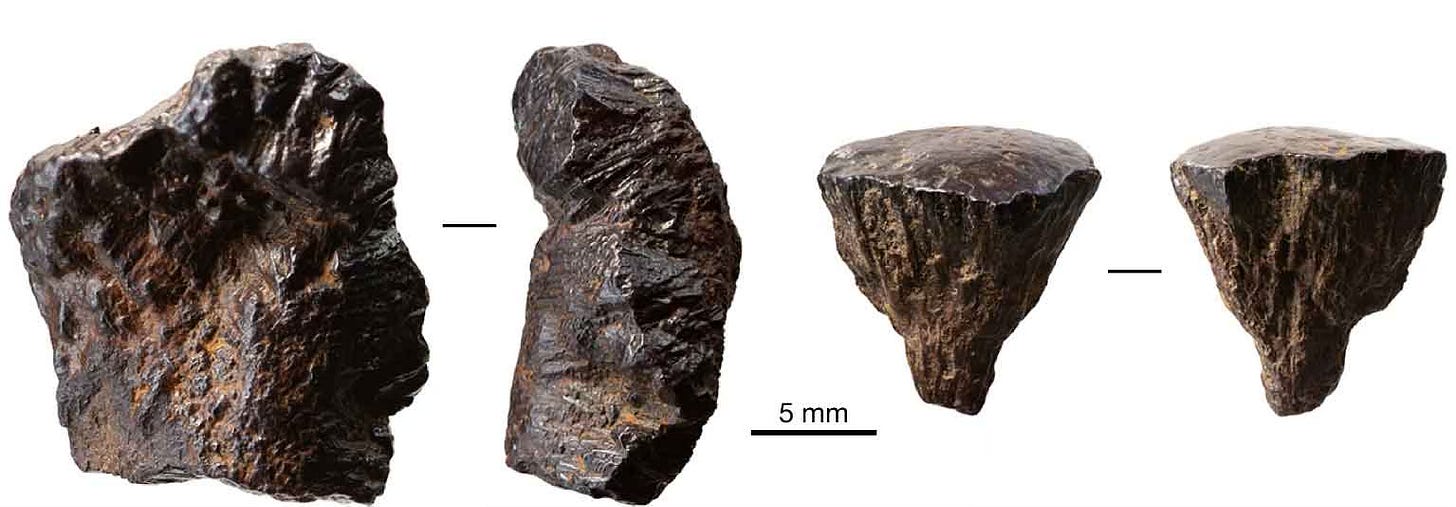 Pseudopyrite chunks from Barnham Pseudopyrite chunks from Barnham