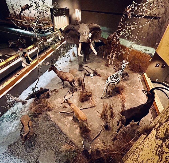 exhibits, galleries