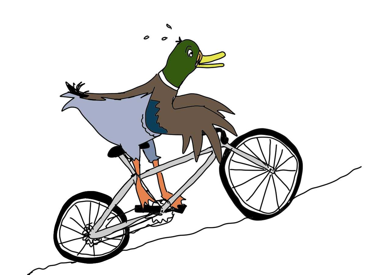 A duck rides a bicycle up a hill.
