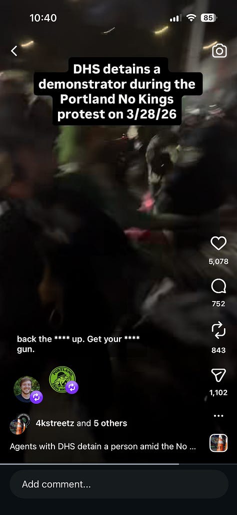 9 screen grabs from video showing ICE agents pursuing, hitting, and detaining protester in pink frog costume. The last three images show agent brandishing gun at bystanders.