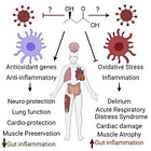 Things Hidden Since the Splicing of SARS 2 S protein (part 3)