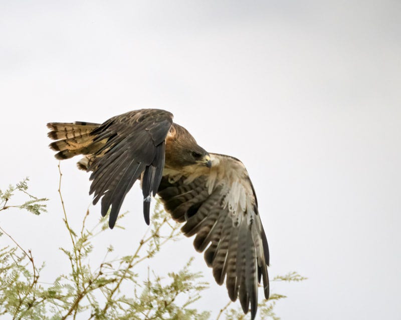 20260805-SCF-144-Edit.jpg 20260805-SCF-144-Edit.jpg
