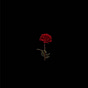 Mubark's avatar