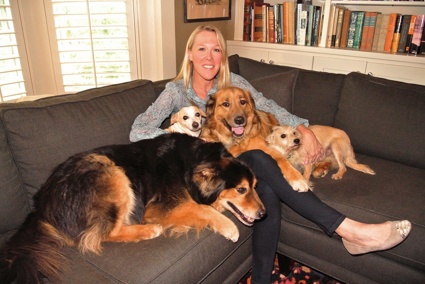 A person sitting on a couch with many dogs
AI-generated content may be incorrect. A person sitting on a couch with many dogs
AI-generated content may be incorrect.