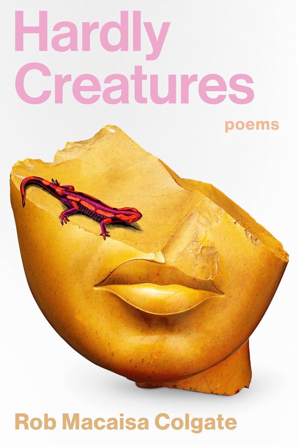 The bottom half of a yellow face sculpture is shown with a red lizard on top amid a white background. 