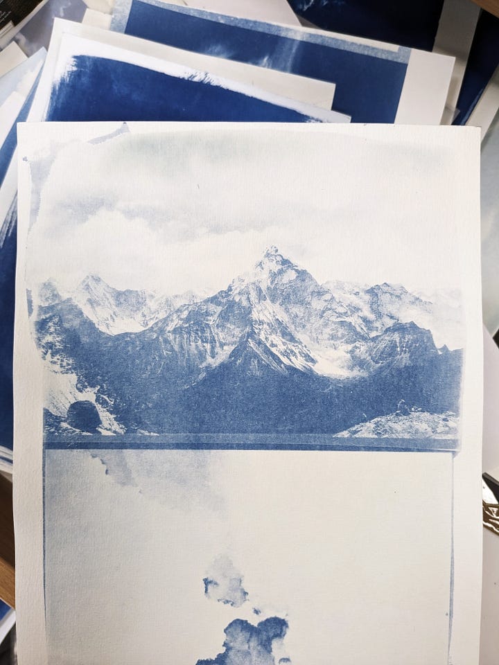 double exposure cyanotype print process
