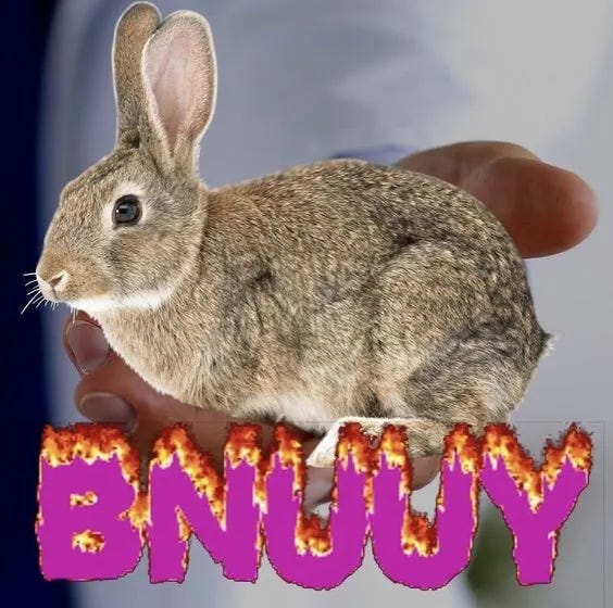 Uma mão estendida com a foto de um coelho muito fofinho colada em cima, como se o coelho fosse uma oferta a você. Embaixo, em letras cor de rosa pinkzera com um efeito de pegando fogo tá escrito BNUUY