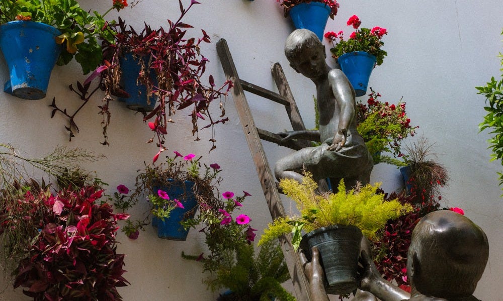 Back to self: Córdoba