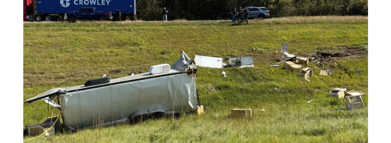 image 11.png image 11.png