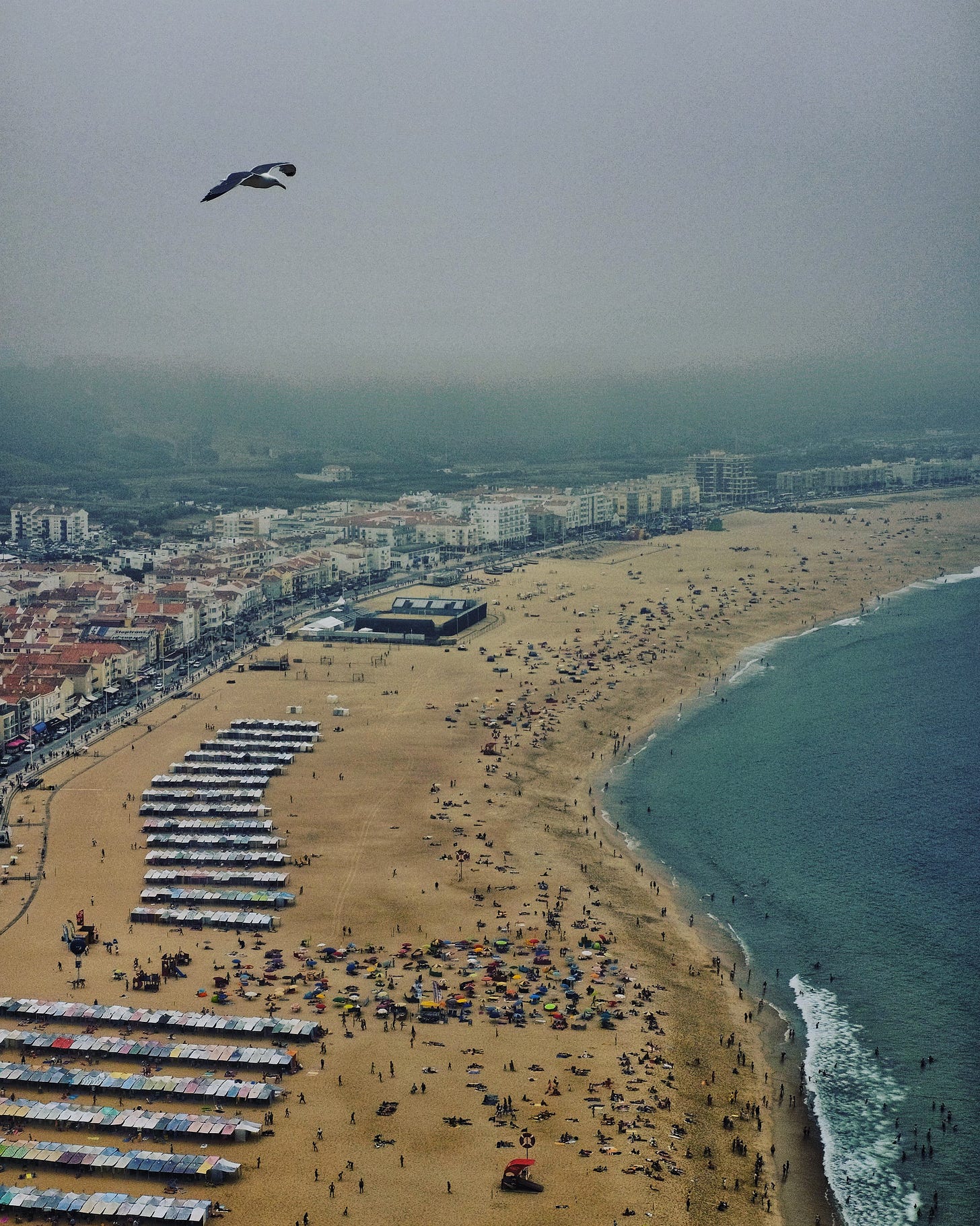 View from a cliff over Nazaré, Portugal with a lone bird above a calm, overcast ocean and empty beach