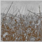 The Collapse of Old Tactics in the Age of the Rifle