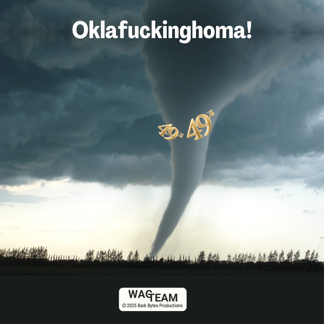 A dramatic storm photo showing a massive tornado against a stormy sky over a dark treeline. The numbers '49' and '49th' float in metallic gold above the funnel, symbolizing Oklahoma's rankings in education and healthcare being swept up by the storm. The title 'OKLAFUCKINGHOMA!' appears in bold white text at the top. WAG TEAM logo at bottom. A dramatic storm photo showing a massive tornado against a stormy sky over a dark treeline. The numbers '49' and '49th' float in metallic gold above the funnel, symbolizing Oklahoma's rankings in education and healthcare being swept up by the storm. The title 'OKLAFUCKINGHOMA!' appears in bold white text at the top. WAG TEAM logo at bottom.