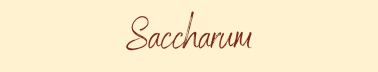 Saccharum