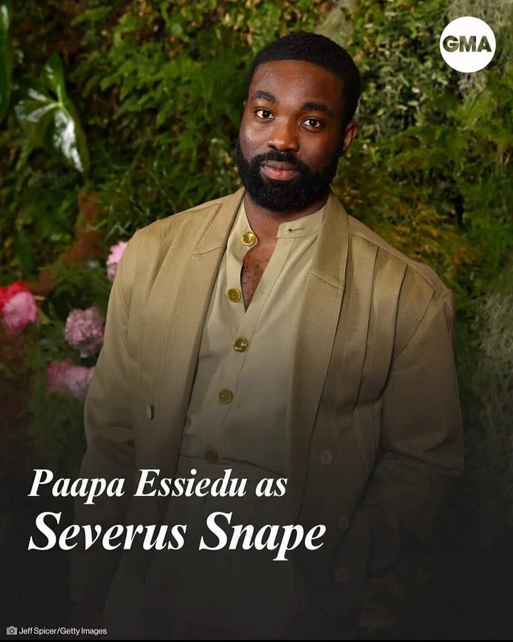 Major Roles in new Harry Potter TV series