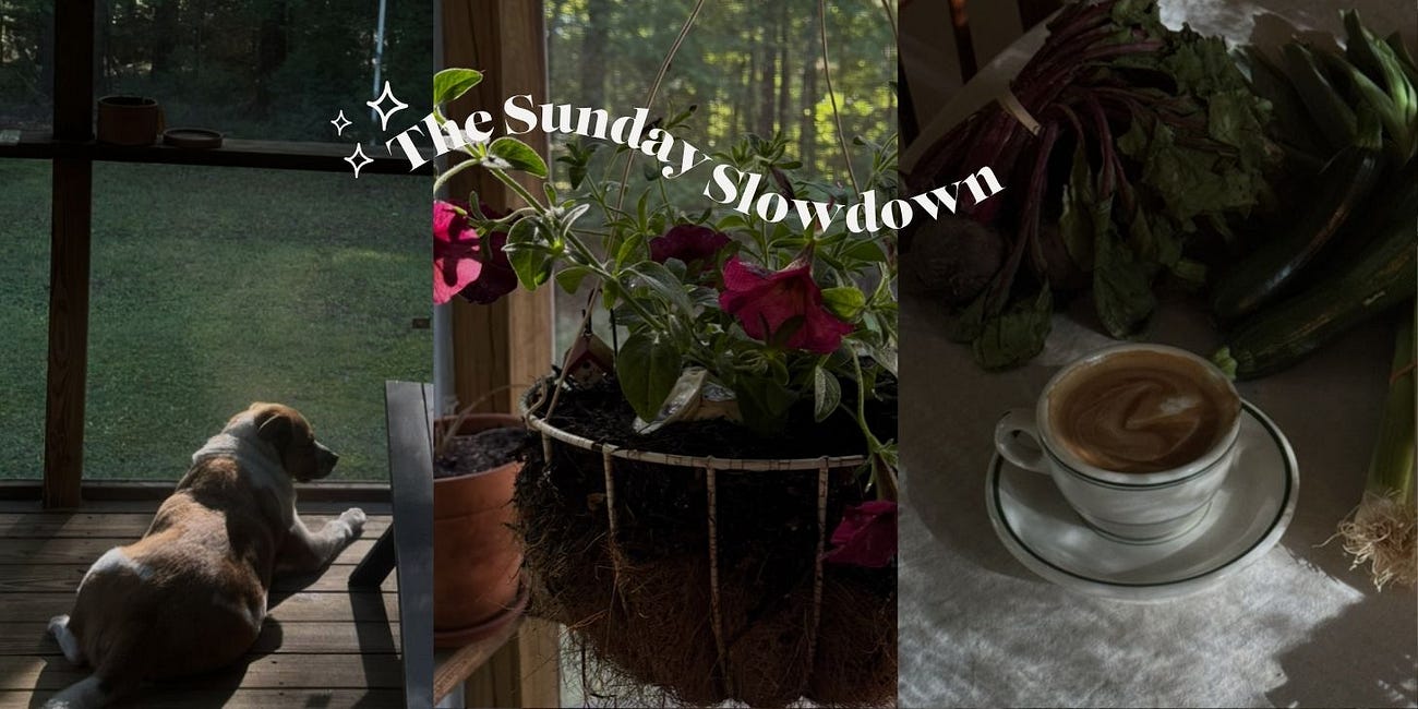The Sunday Slowdown 022 💌
