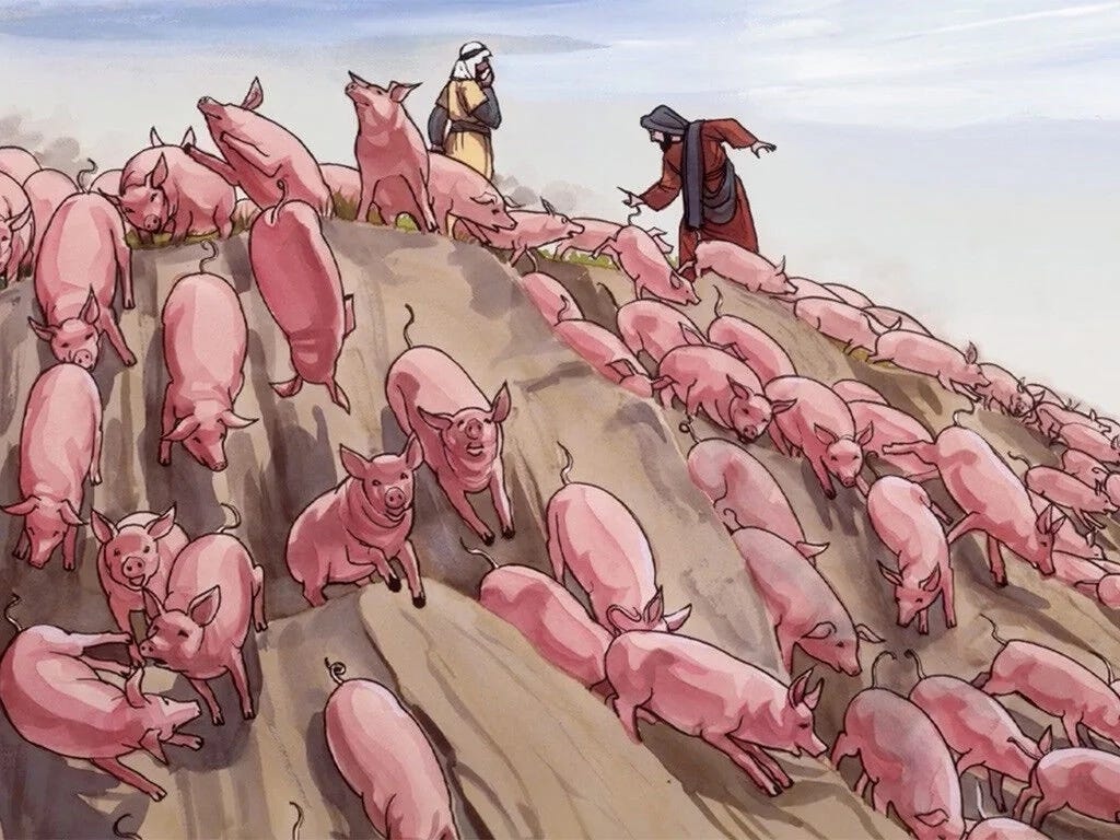 This image has an empty alt attribute; its file name is the-herd-of-pigs-luke-8-30-33-v0-5y51fr3ft5pa1.jpg.webp