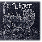 The LIGER Stack: a Security Data Lakehouse Reference Architecture