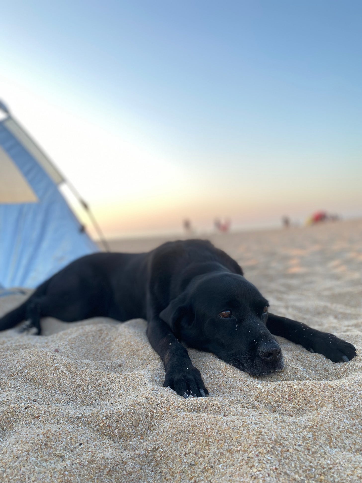 Hummock Starlite-Campbell on the beach