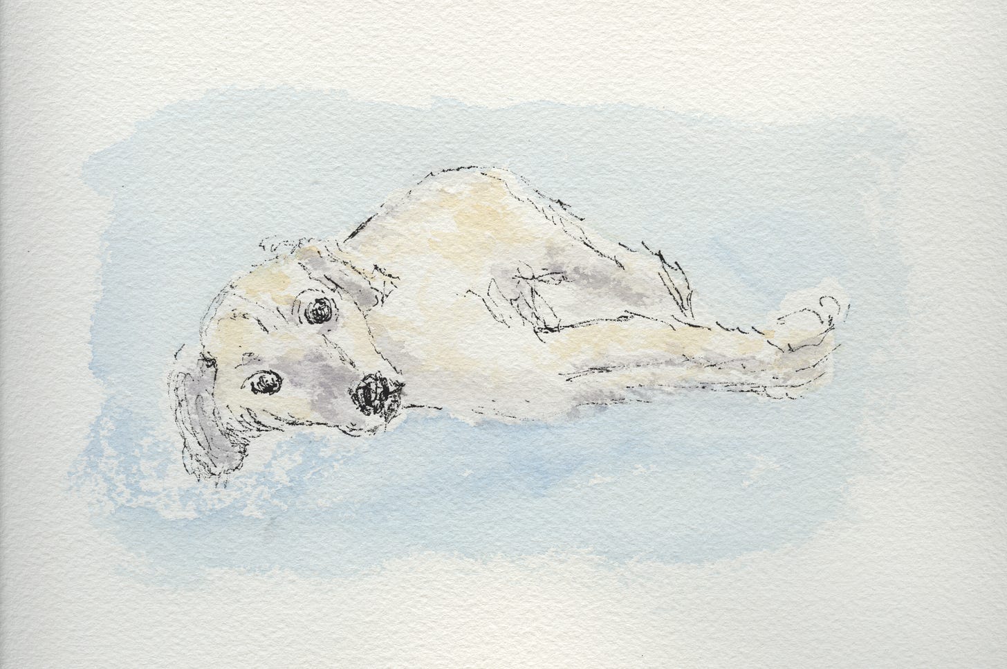 painting of Caroline's dog Piper by Sarah Hauser