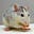 A rat and a typewriter's avatar