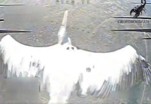 FPV_Pelican.jpg