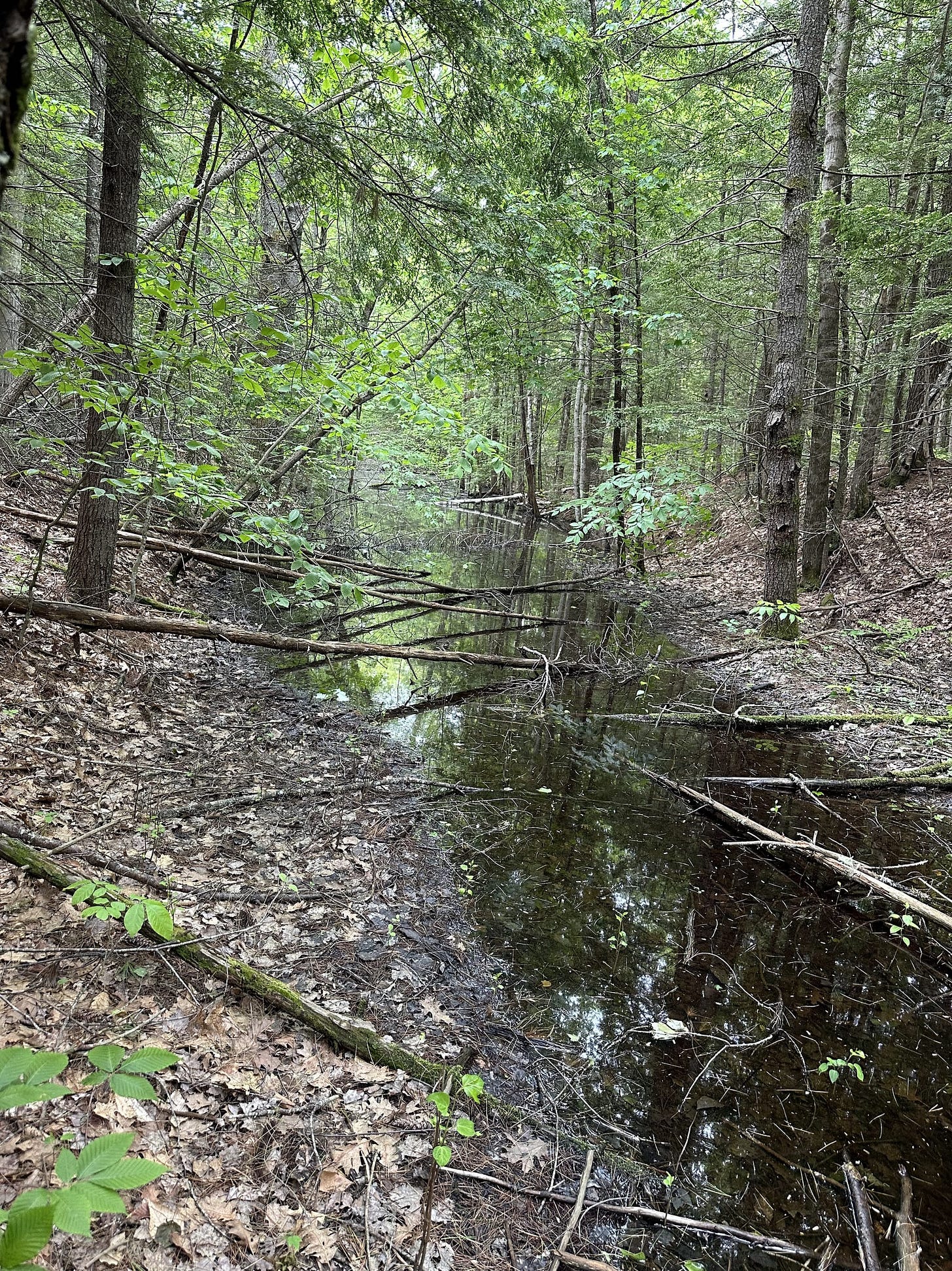 A Trek Along the Cocheco Railroad