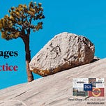 Frontiers of Psychotherapist Development