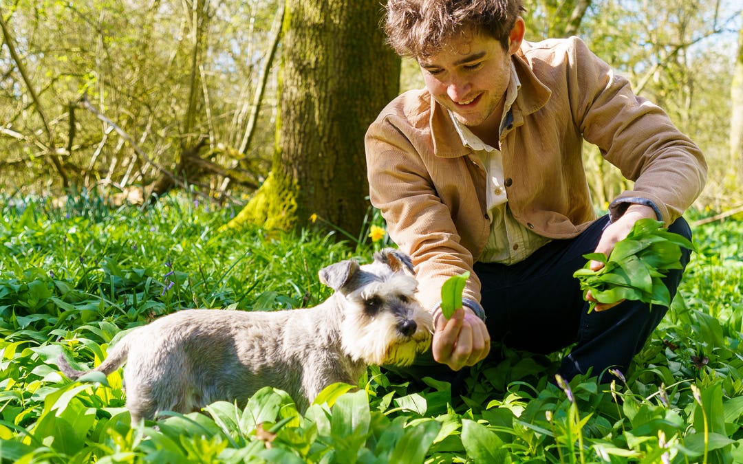 24 Wild Garlic Recipes to Celebrate Spring: Easy Preserves, Meals & Foraged Favourites