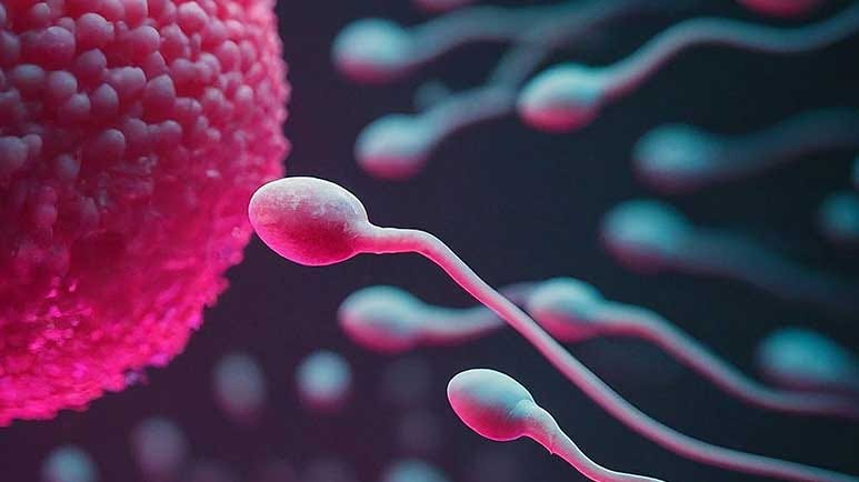 pesticide exposure male fertility sperm health