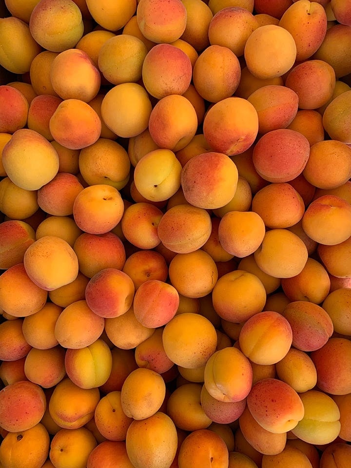 Close up of apricots in a box and a shot of apricot preserves cooling in jars.